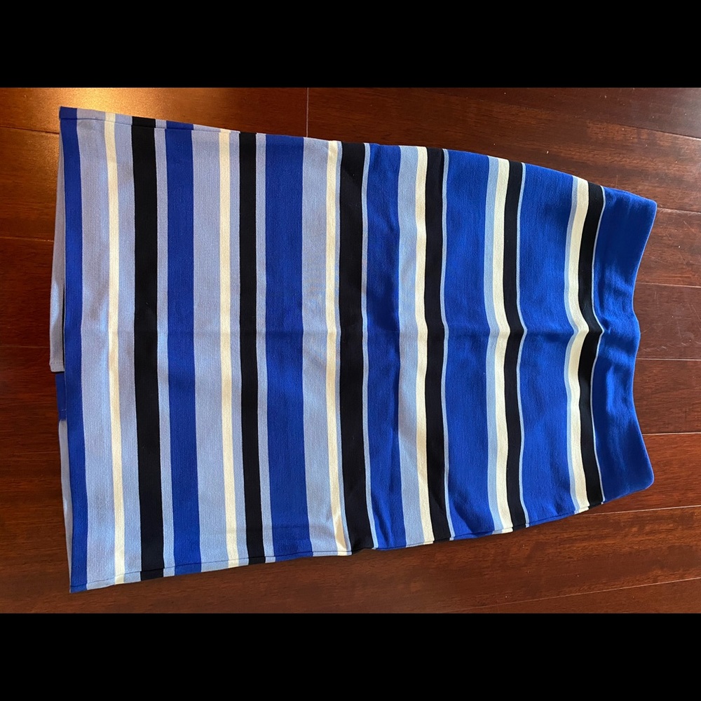 Ann Taylor skirt